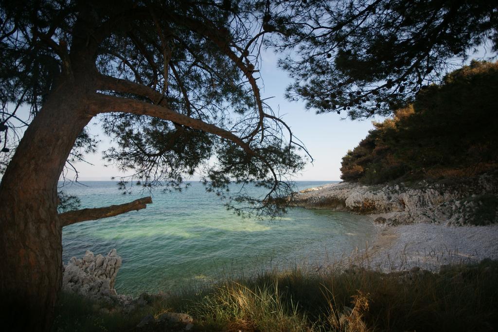 Corry 1 Daire Ravni Dış mekan fotoğraf